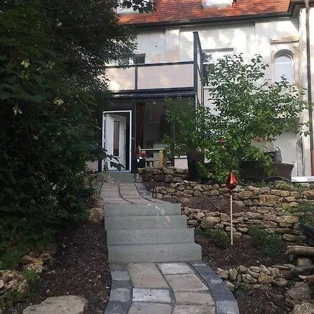 Blume Am Schlossberg Bad Berka