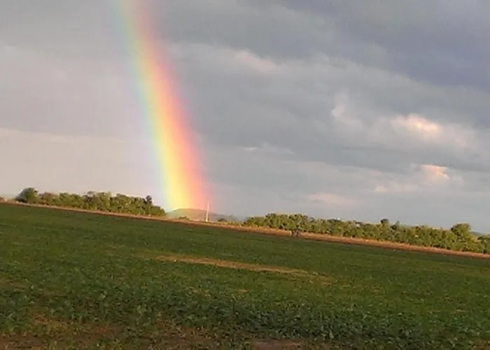 Daire Blume Am Schlossberg